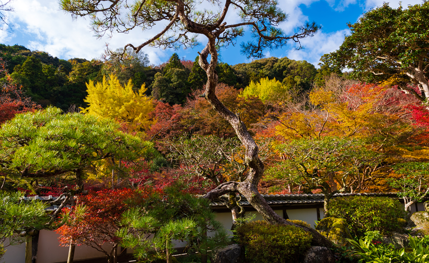 正暦寺