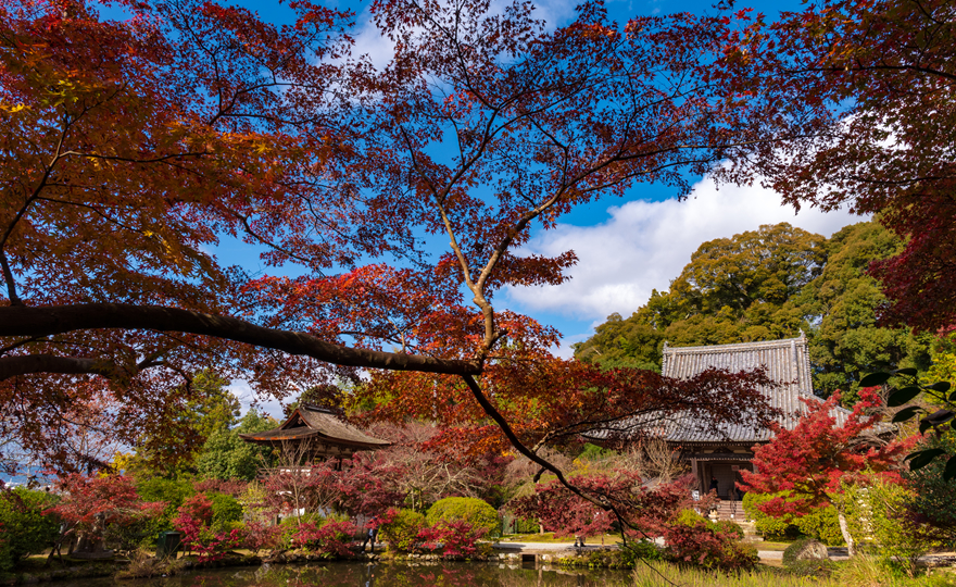 長岳寺