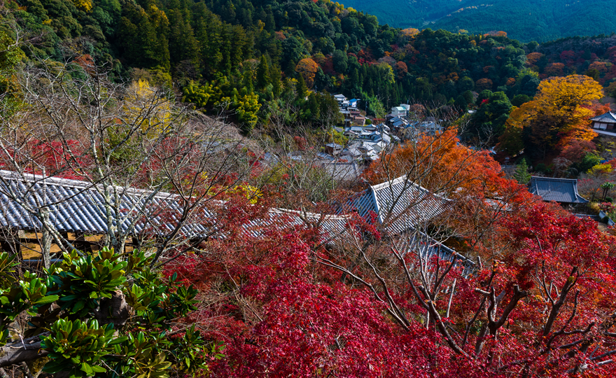 長谷寺