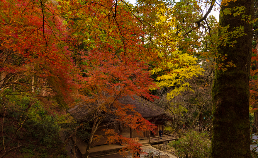 室生寺