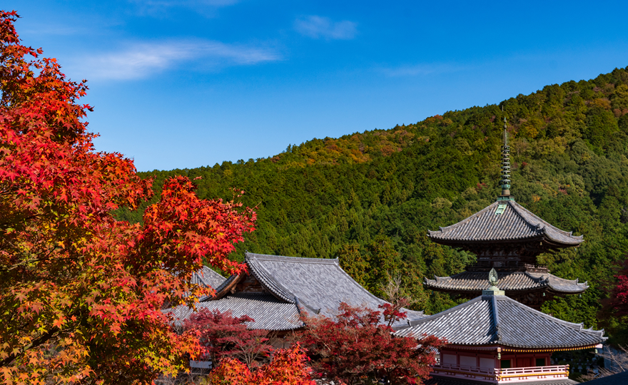 壷阪寺