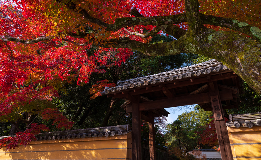 秋篠寺