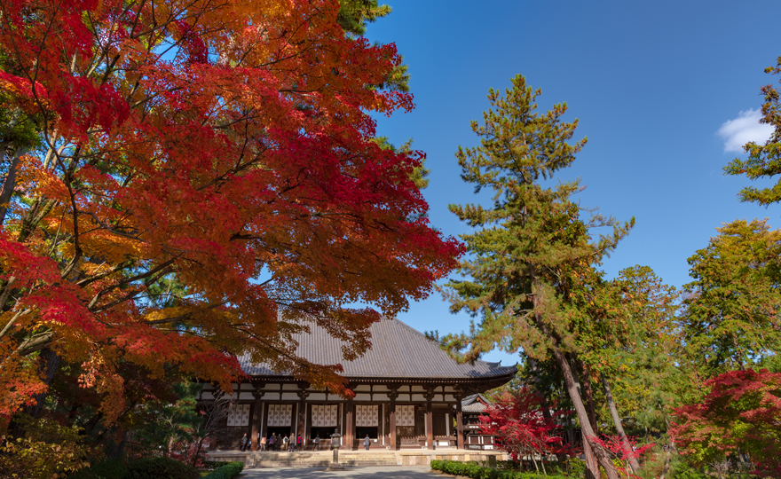 唐招提寺