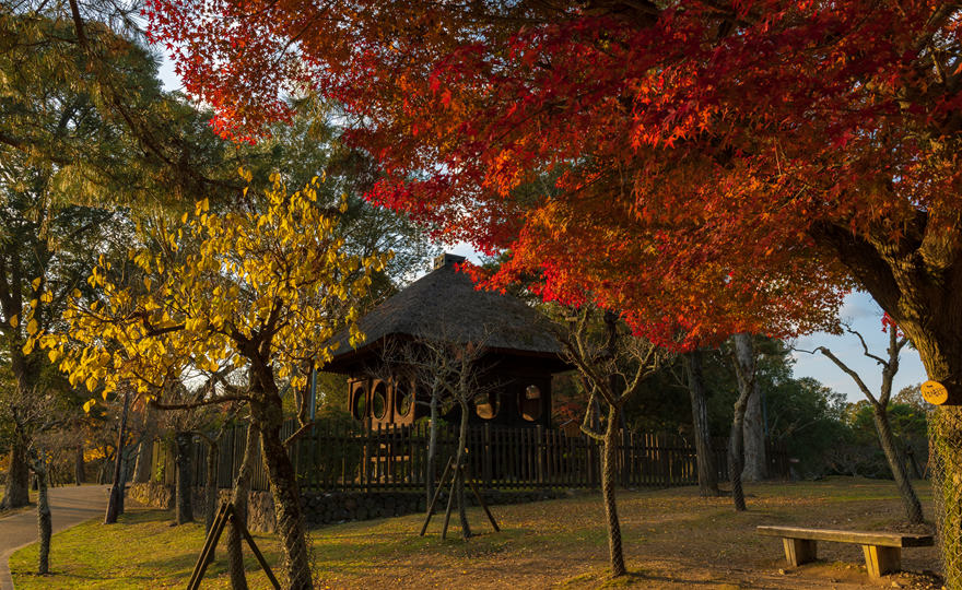 奈良公園（浅茅ヶ原園地）