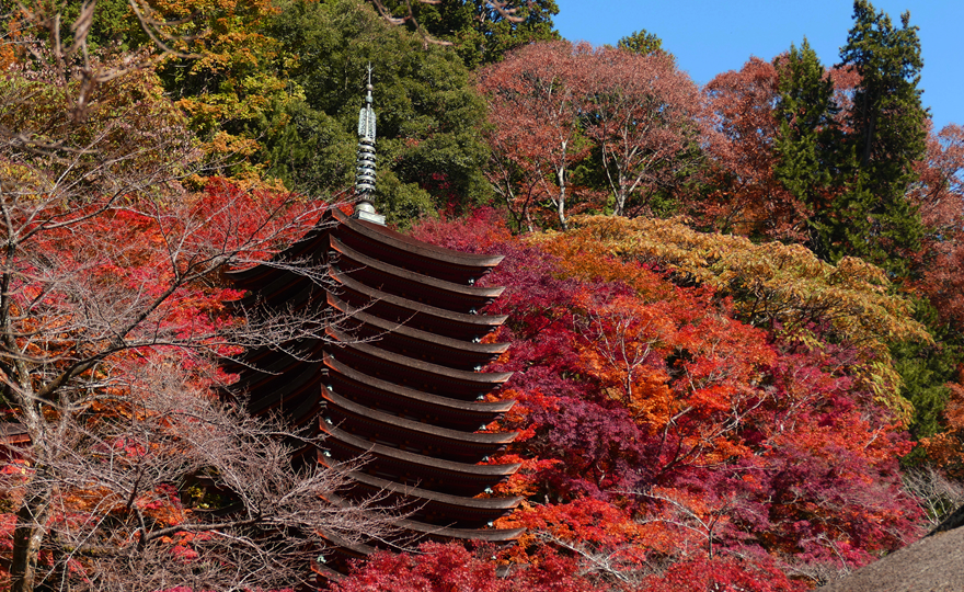 談山神社