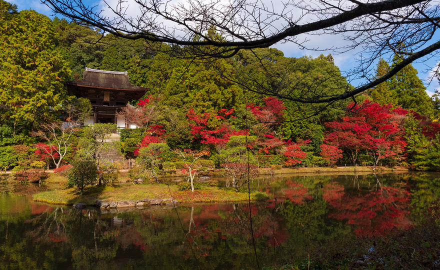 圓城寺