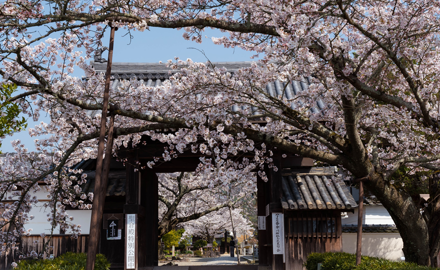 橘寺