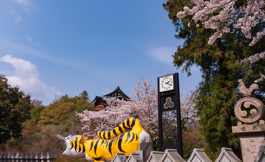 朝護孫子寺