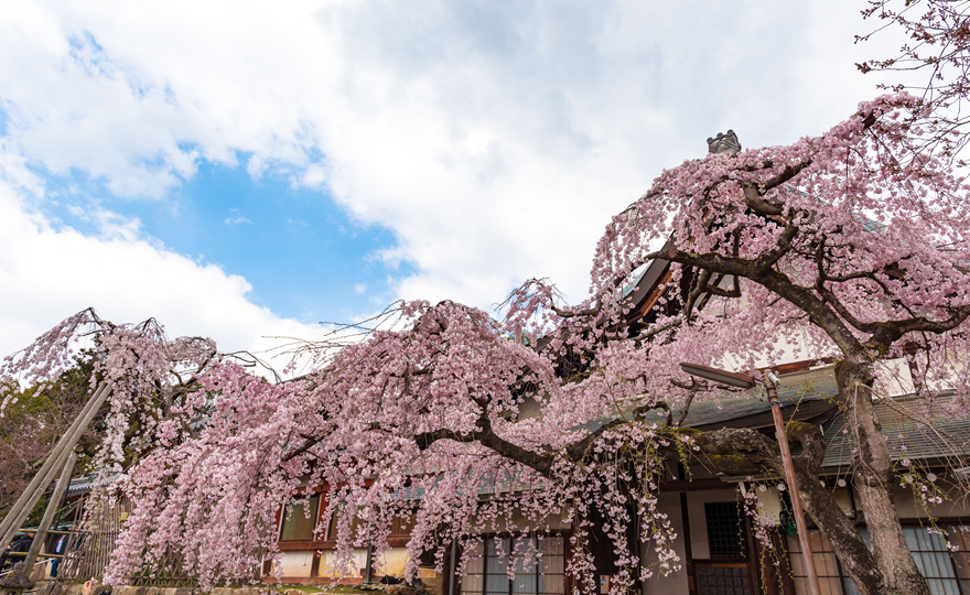 氷室神社