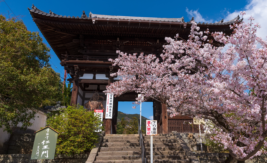 當麻寺