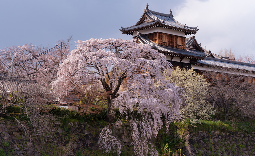 郡山城址